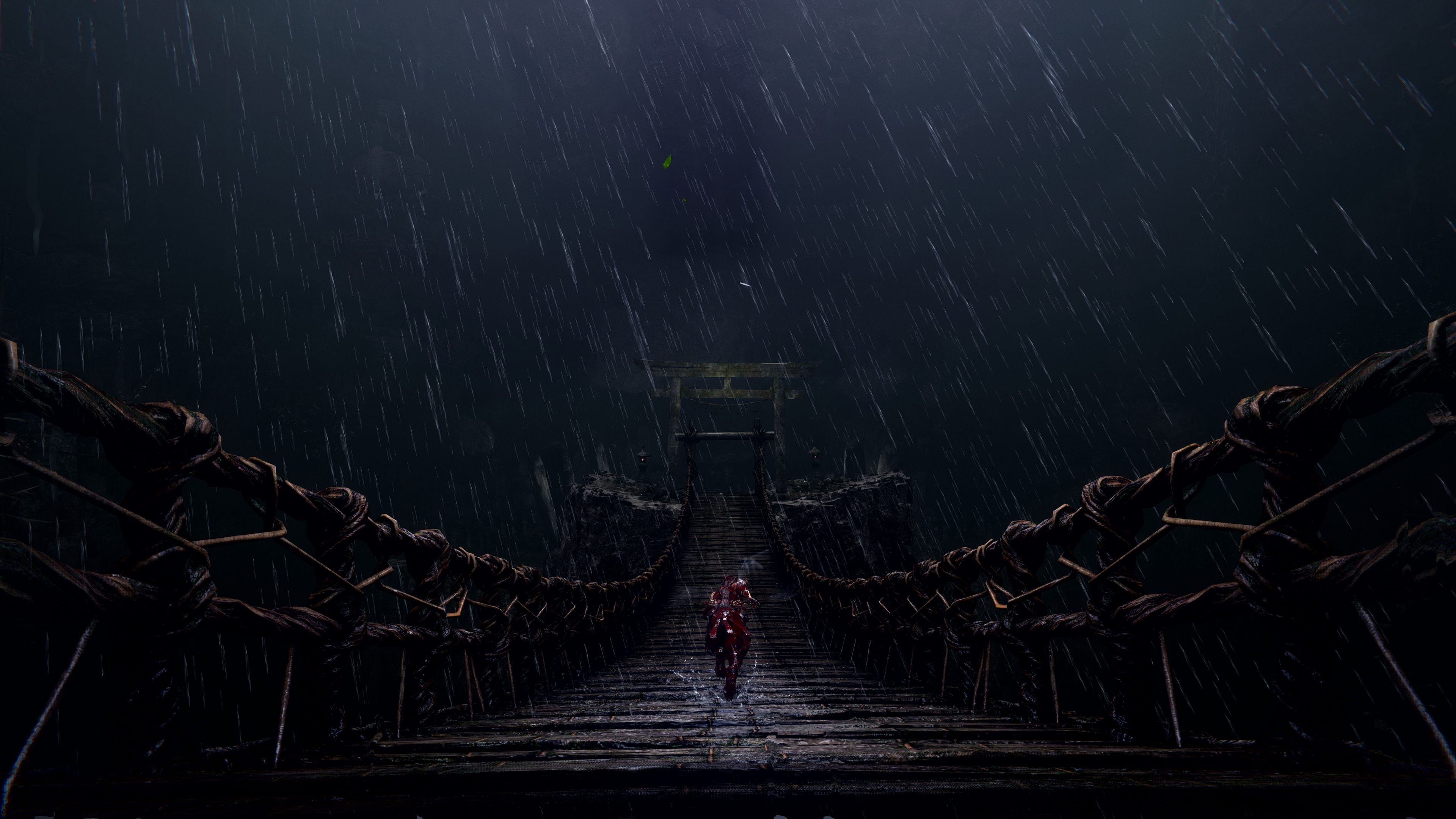 Ninja Gaiden 4